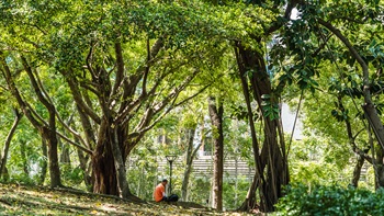 Ample trees shade offers some respite from the summer sun.